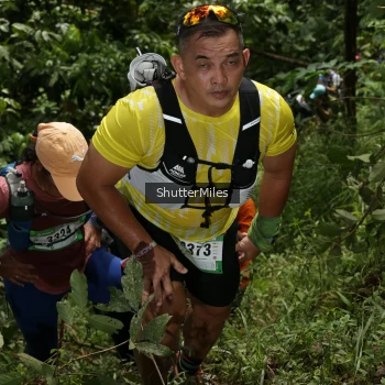 Runner Photo 84479