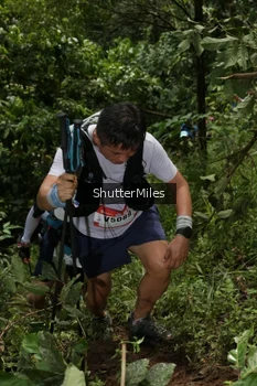 Runner Photo 84509