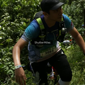 Runner Photo 84513