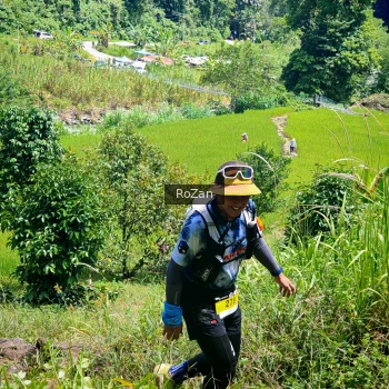 Runner Photo 84526