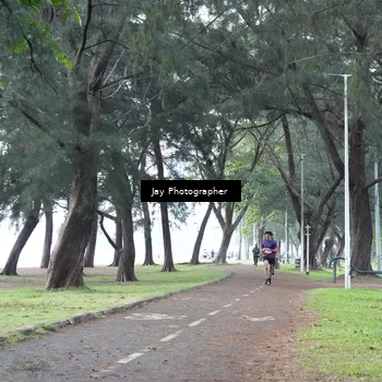 Runner Photo 8453392
