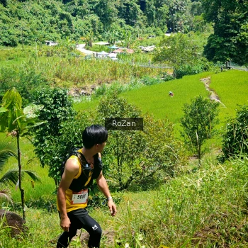 Runner Photo 84547