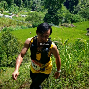 Runner Photo 84552
