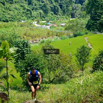 Runner Photo 84577