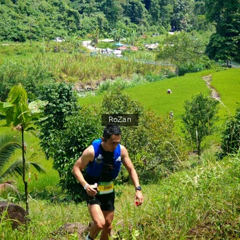 Runner Photo 84584