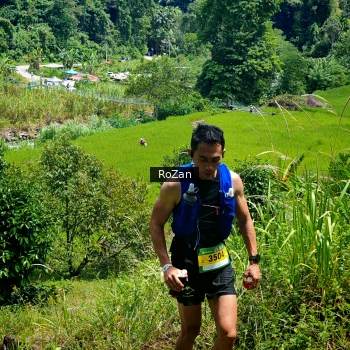 Runner Photo 84590