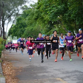 Runner Photo 8461318