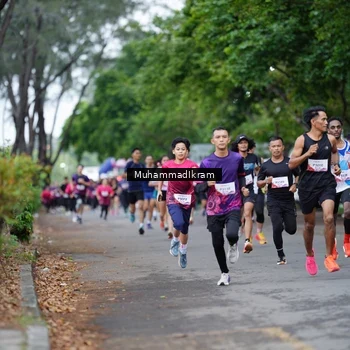 Runner Photo 8461319