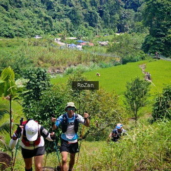 Runner Photo 84628