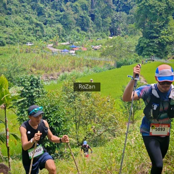 Runner Photo 84644