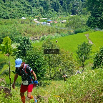Runner Photo 84657