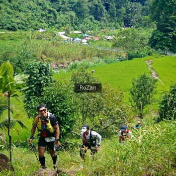 Runner Photo 84674
