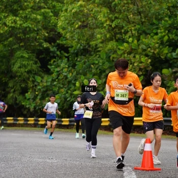Runner Photo 8469587