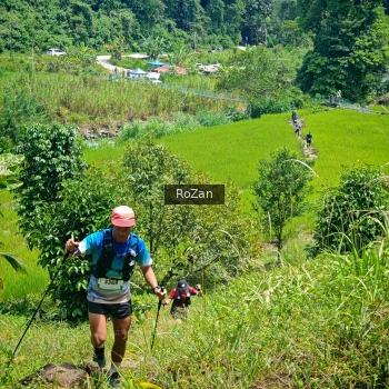 Runner Photo 84699