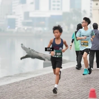 Runner Photo 8471351