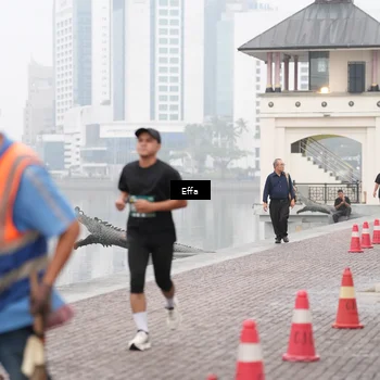 Runner Photo 8473880