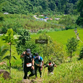 Runner Photo 84774
