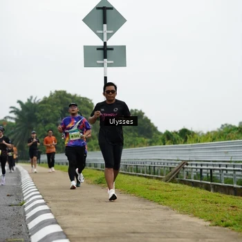 Runner Photo 8483244