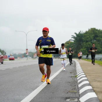 Runner Photo 8483538