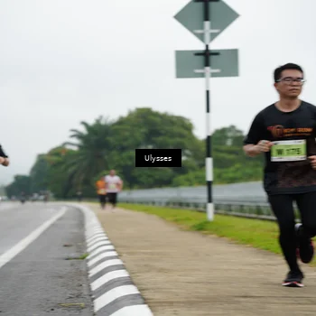 Runner Photo 8483624