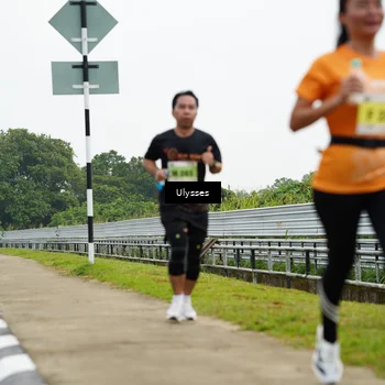 Runner Photo 8483779