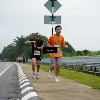 Runner Photo 8484607