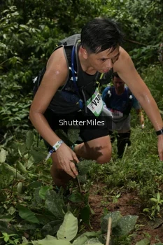 Runner Photo 84854