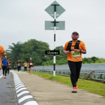 Runner Photo 8486956