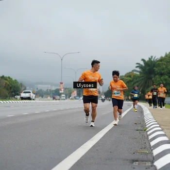 Runner Photo 8487834