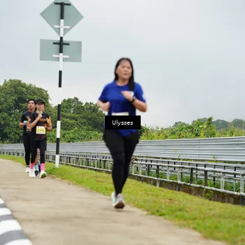 Runner Photo 8490778