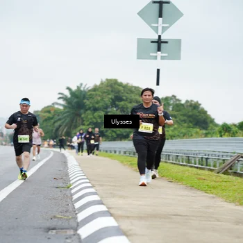 Runner Photo 8493028