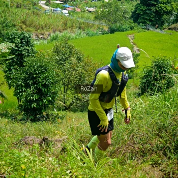 Runner Photo 84960