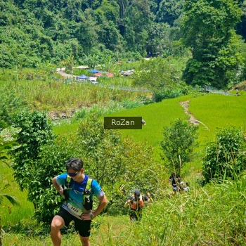 Runner Photo 84974