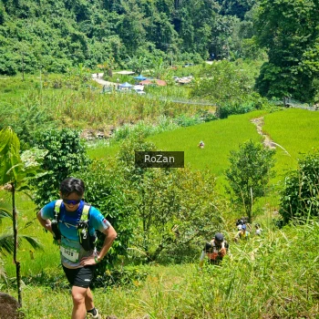 Runner Photo 84975