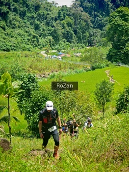 Runner Photo 85004
