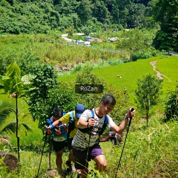 Runner Photo 85039