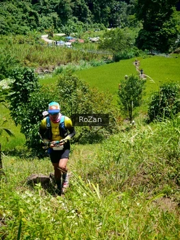 Runner Photo 85108
