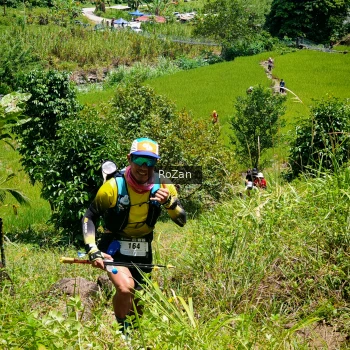 Runner Photo 85111