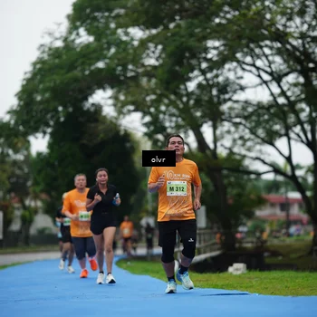 Runner Photo 8512329