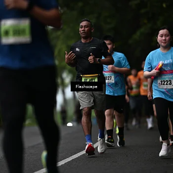 Runner Photo 8512532