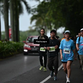 Runner Photo 8512808