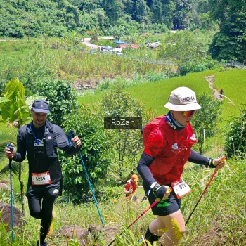 Runner Photo 85137
