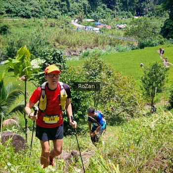 Runner Photo 85170