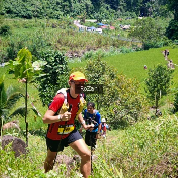 Runner Photo 85171