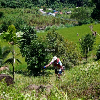 Runner Photo 85186