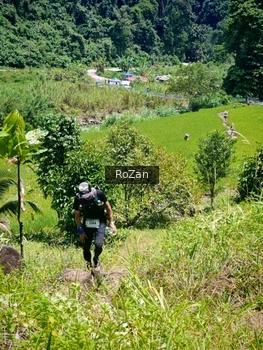 Runner Photo 85203