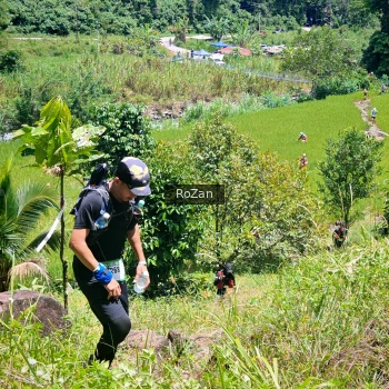 Runner Photo 85209