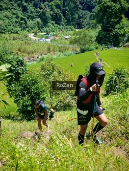 Runner Photo 85222