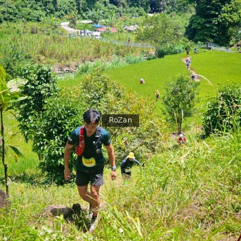 Runner Photo 85226