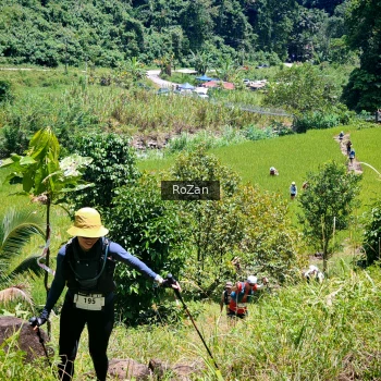 Runner Photo 85244